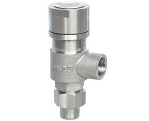 A21����ʽ���ݼy��ȫ�y