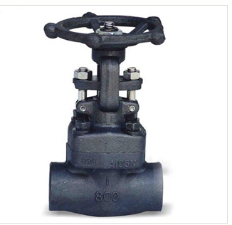 Z11�z�����l�y